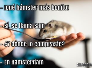 3HqBZ1595876005