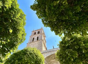 Iglesia de Santa María de la Asunción (Dueñas)