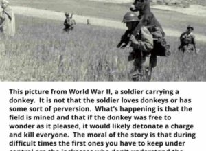 Soldier-carrying-a-donkey