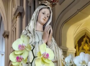 Vídeos de la Virgen María