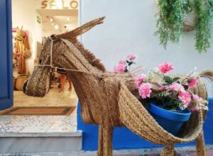 El burro y el lobo
