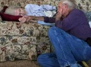 amor