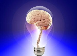 brain-g57a616952_640
