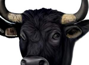 bull seven horns realistic