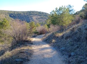 camino paisaje cuenca sagrado corazón 2