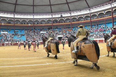 Serenidad, pero la procesión va por dentro