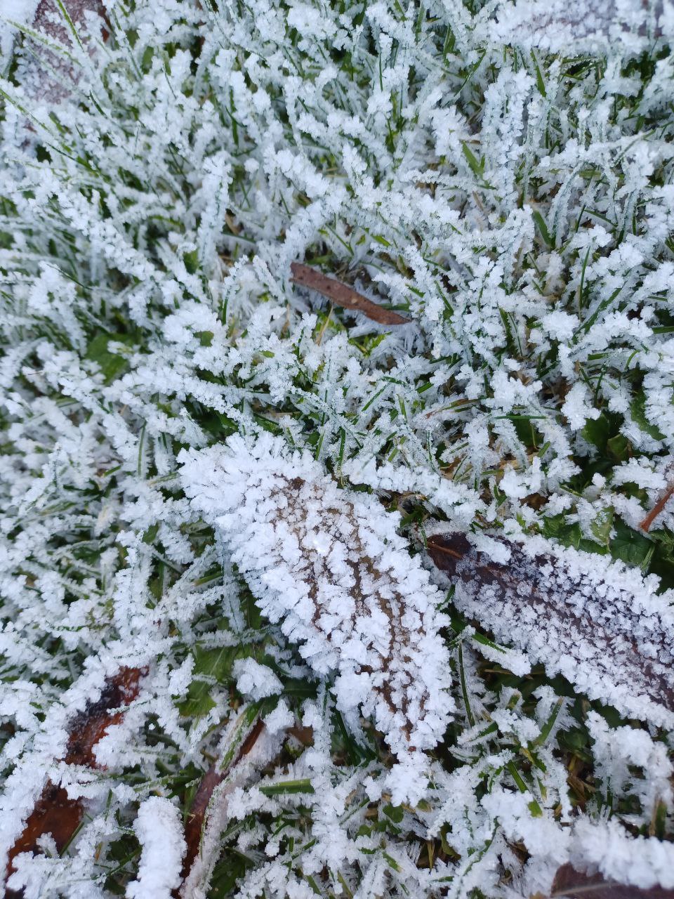 frio-escarcha-congelar-rocio-1