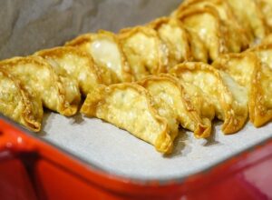 gyoza-760510_640