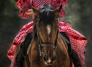 horse-1139142_640