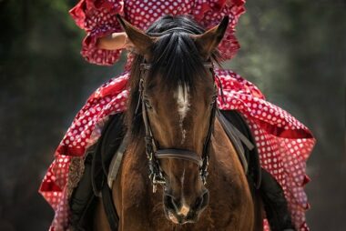 Qué tendrá la oreja (formación)