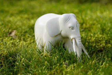 El Elefante blanco (en 1863, Los Sueños de San Juan Bosco Extraídos de la Vida de San Juan Bosco)