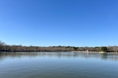 ¿Qué es lo más extraño que se ha encontrado en el lago de la Casa de Campo?