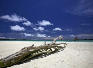 landscape-ga462b3e4f_640