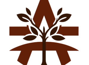 logo transparente