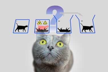 La Paradoja de Schrödinger