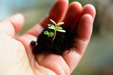 La vida no está hecha para construir, sino para sembrar