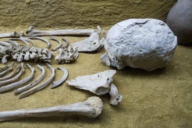 El signo más antiguo de la civilización