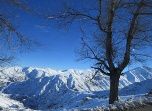 snow-2785029_640