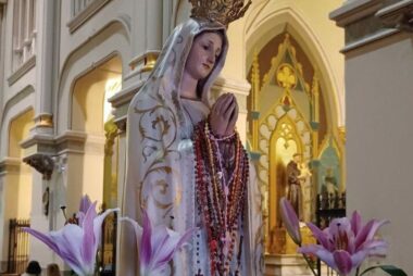 Deponer el activismo