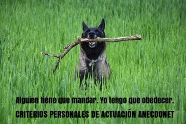 Alguien tiene que mandar. Yo tengo que obedecer