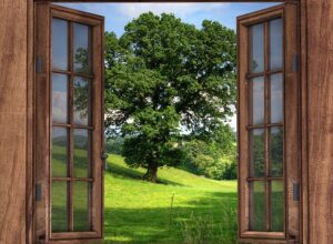 window-g1a9486031_640