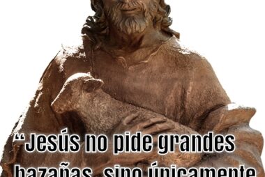 “Jesús no pide grandes hazañas, sino únicamente abandono y gratitud»